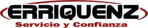 Erriquenz Logo